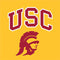 University of Southern California USC Trojans Yellow Xbox 360 (Includes HDD) Skin